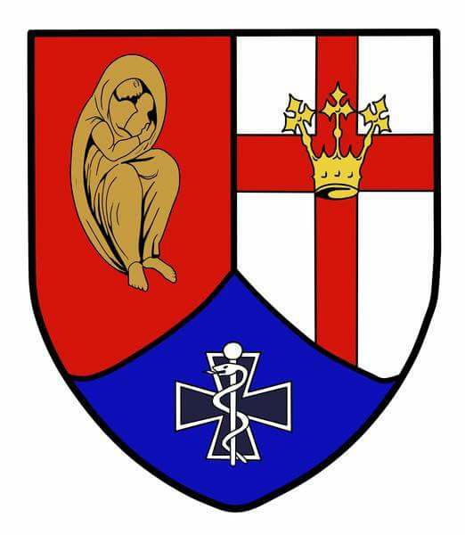 Wappen Sanitätsregiment 2
